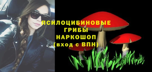 круглые Бородино
