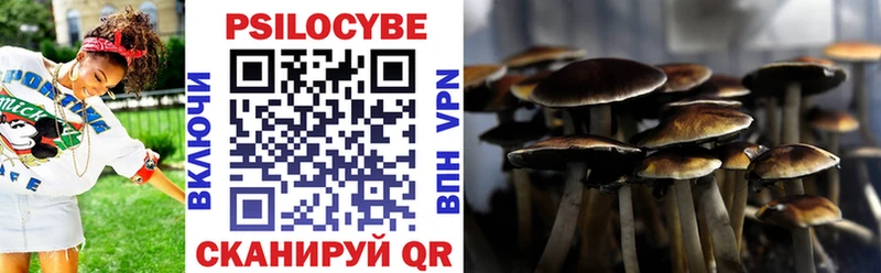 Купить где  Олёкминск  Псилоцибиновые грибы мицелий 